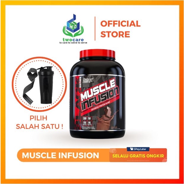 Whey Protein Nutrex Muscle Infusion 5 lbs 5lbs Susu Protein