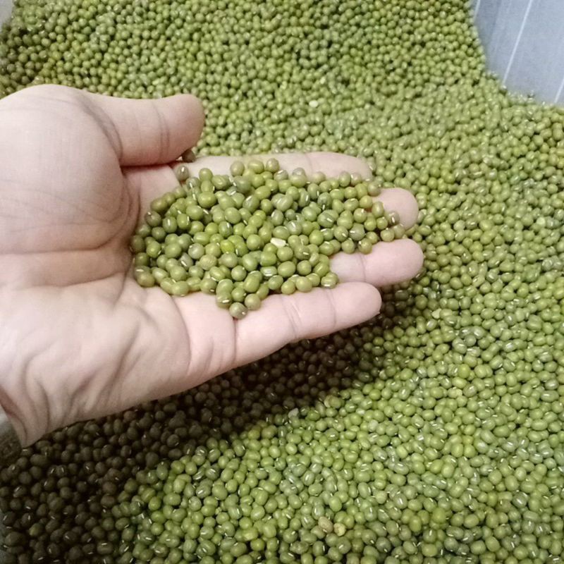 kacang hijau/kacang  hijau Australia 500gram