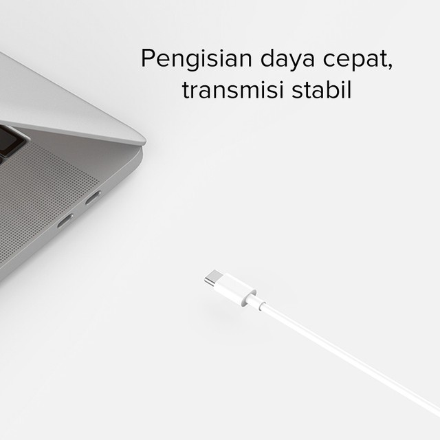 Xiaomi Mi Kabel Data USB Type C Port 3A dan Cable Type C to Type C 5A