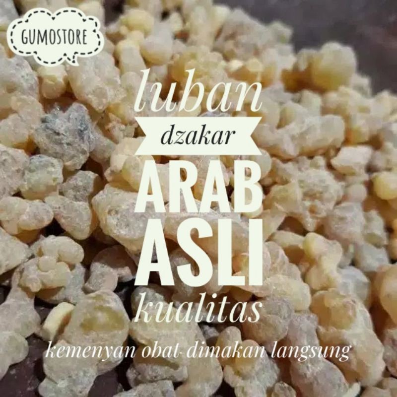 Kemenyan Arab asli kualitas | luban Dzakar super | kemenyan obat | obat herbal | Sunnah nabi