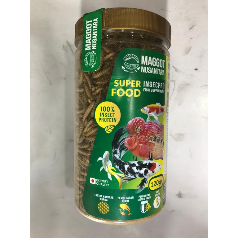 MAGGOT NUSANTARA 120GR PAKAN KOI ALAMI EXTRA BULKY MAGGOT IKAN KOI MAGOT IKAN KOI ULAT HONGKONG MAKA