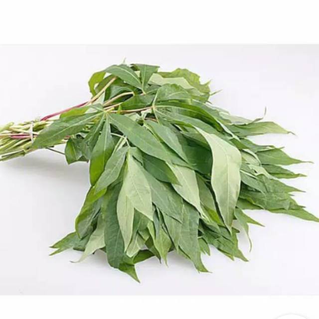 

Daun singkong 1iket rp 3000