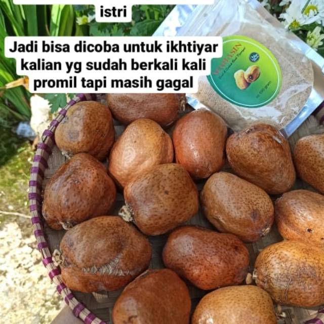 

Buah zuriat