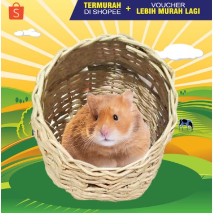 Rumah Hamster Hideout Hamster Kandang Hamster Tempat Tidur Hamster Anyaman Rotan