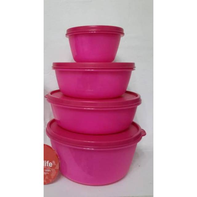 CIOTOLLA MOORLIFE Rp.265.000