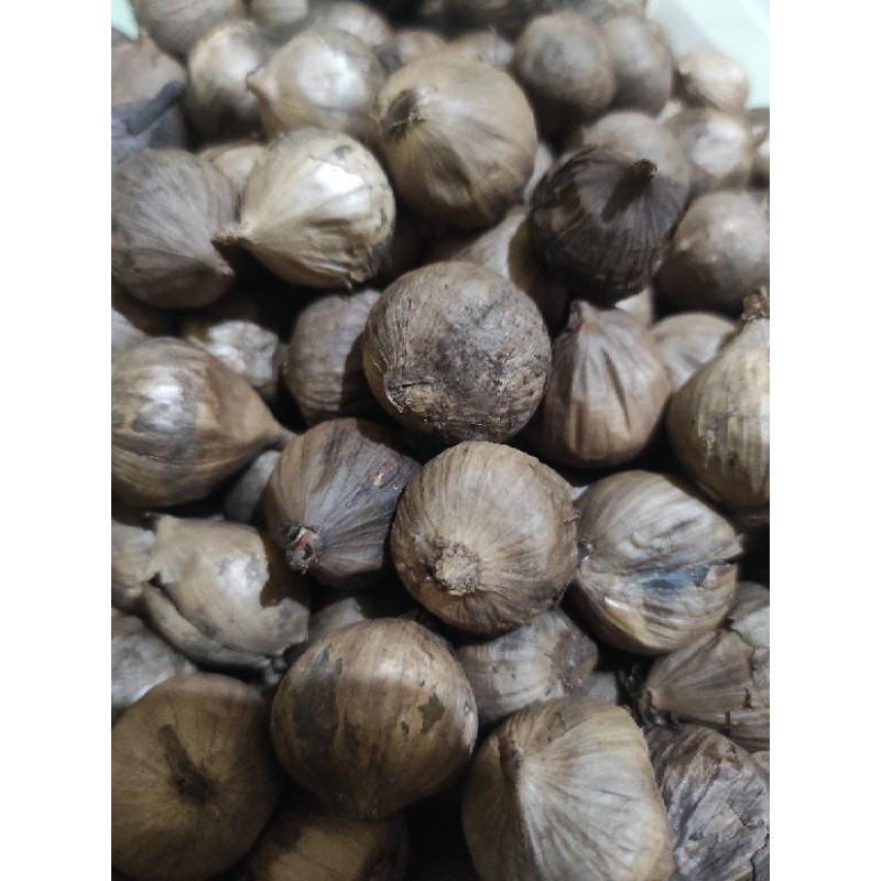 

Blackgarlic bawang putih tunggal