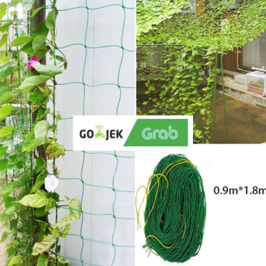 Climbing Net Plant Jaring Rambatan Tanaman