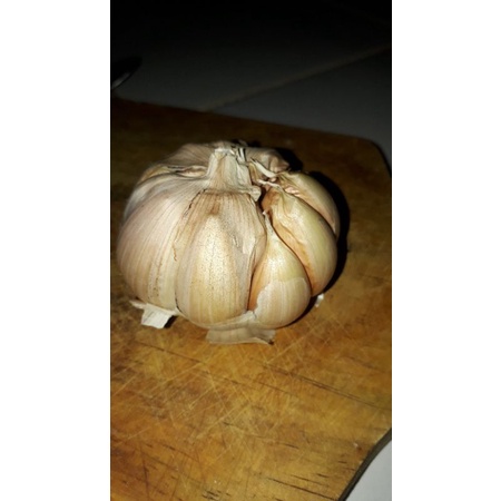 

bawang putih
