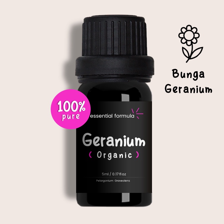 Organic Geranium Minyak Bunga Geranium Murni EO 100%