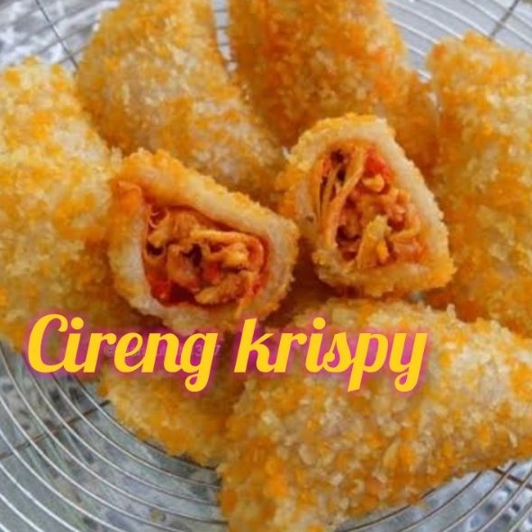 

Cireng Isi ayam pedas,ori,sosis,keju,usus, kikil Krispy isi 14 pcs