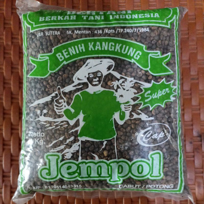 BIBIT KANGKUNG 1 KG