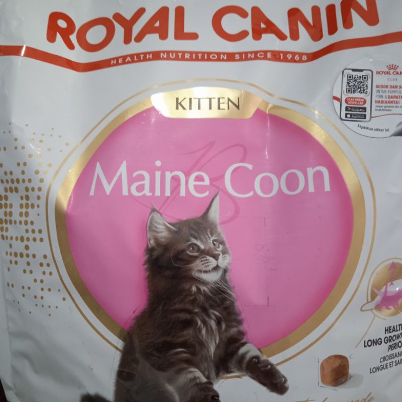 Royal Canin Maine Coon Kitten 4kg Freshpack Rc Maincon Kitten 4kg