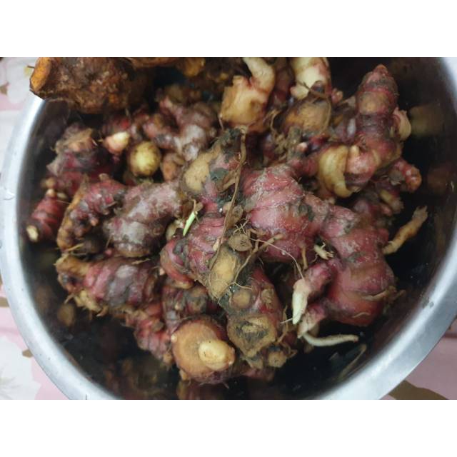 

Jahe merah 1kg