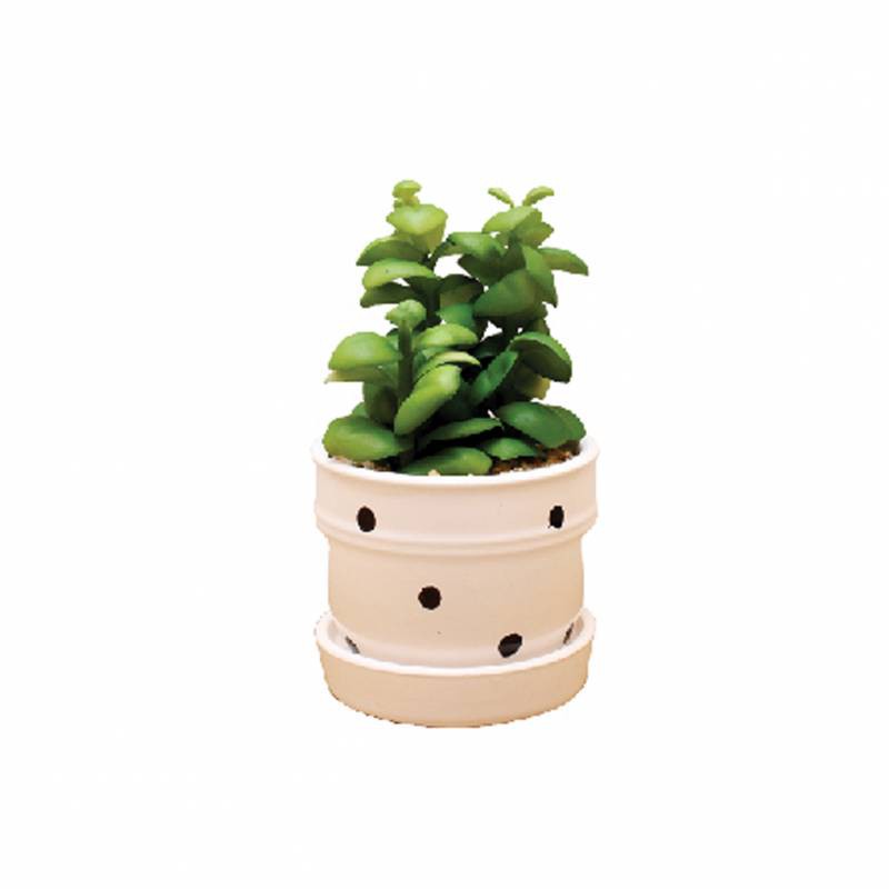 

JYSK Tanaman Hias Floss Artificial Plant White Pot TCD-18