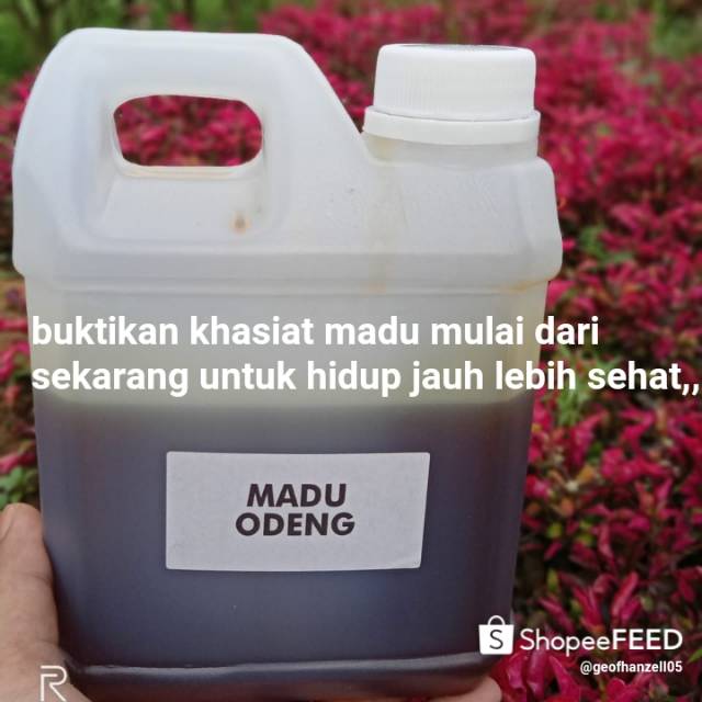 

MADU ODENG MURNI 100% HALAL ||BANYAK KHASIATNYA UNTUK KESEHATAN TUBUH