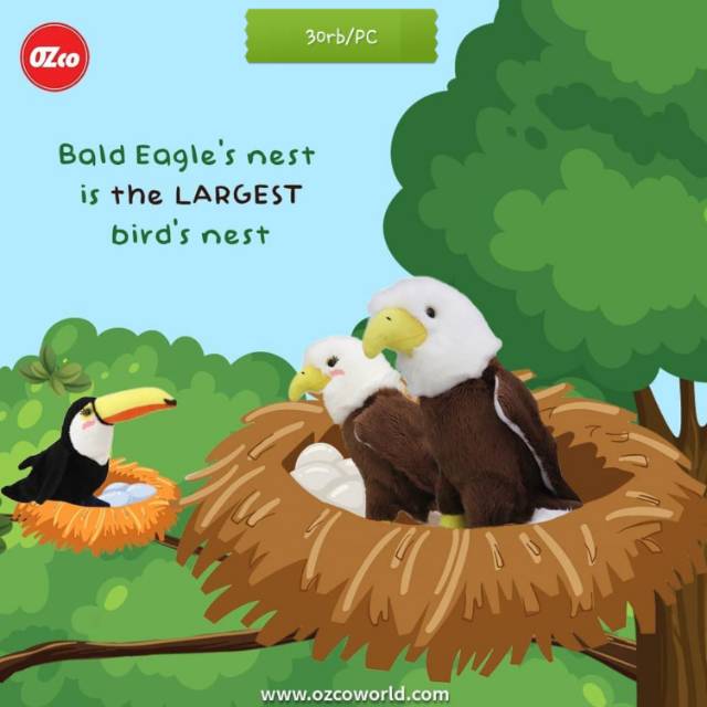 Boneka OZCO Elang Bondol