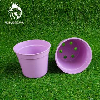  Pot  Mini  Pot  Sekulen Pot  Plastik  Pot  Unik Pot  Tanaman Pot  