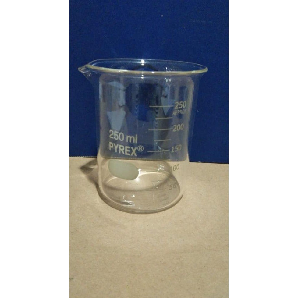 Promo Beaker glass / gelas kimia kaca 250 ml - RRC Terlaris