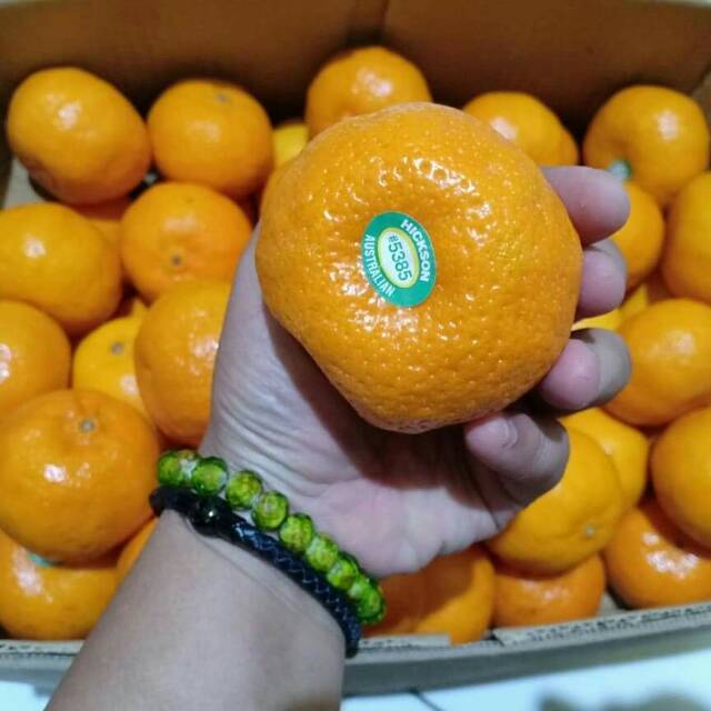 

Jeruk Mandarin
