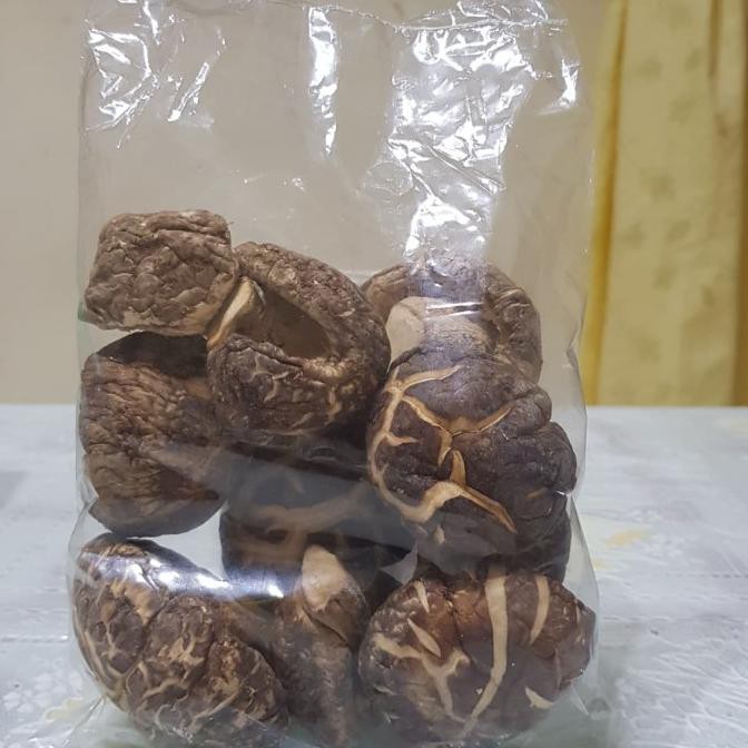 

TERMURAH jamur hioko tebal Kode 1478