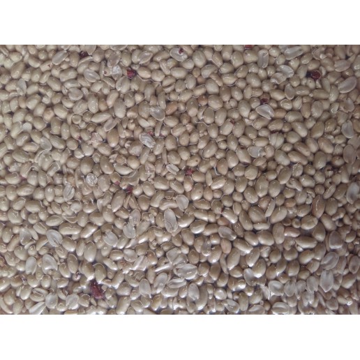 

kacang tanah kupas putih 1kg premium
