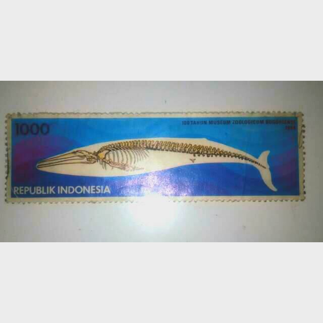 

Perangko RI 1994 100 thn Museum Zoologicum Bogoriense