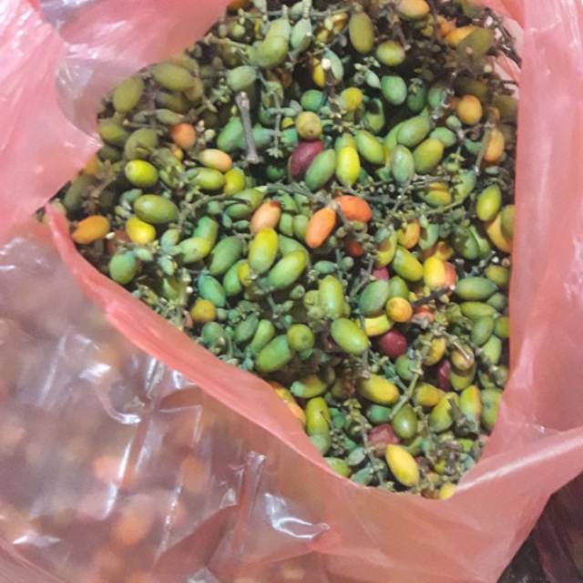 

Kulit Melinjo (150 gram 10000)