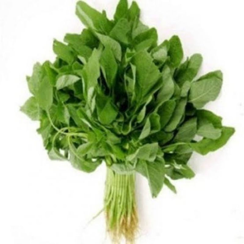 

Sayuran Hijau "BAYAM