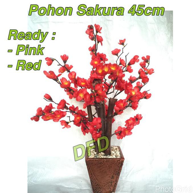 

Spirit_Me Pohon Angpao / Bunga Sakura / Meihua ( Uk : 45 Cm )
