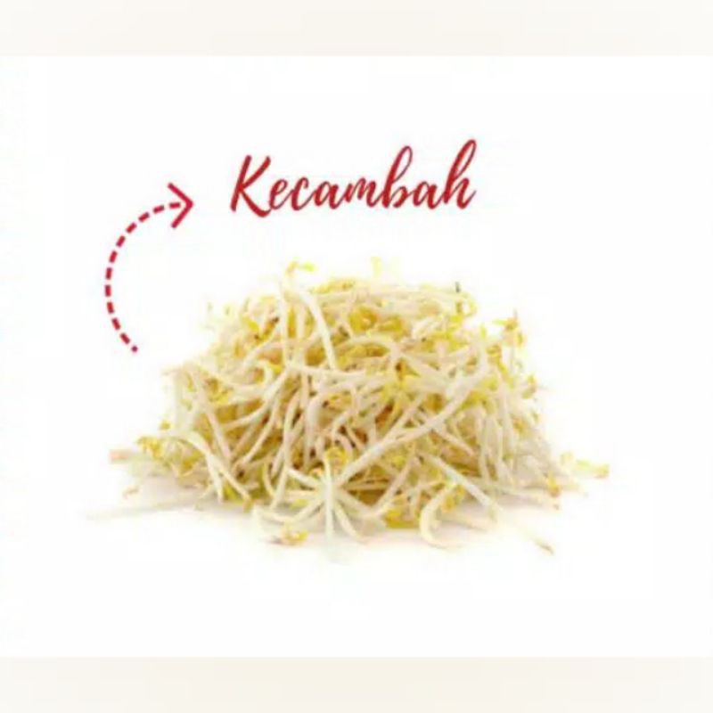 

PALING MURAH!!! KECAMBAH BETAT 250 GRAM/SAYUR SEGAR HEMAT
