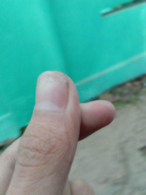 Sepasang Kaligrafi Lafaz Allah Dan Muhammad Hiasan Dinding Wall Decor/bl