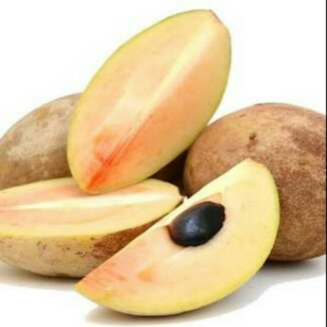 

Sawo madu fresh