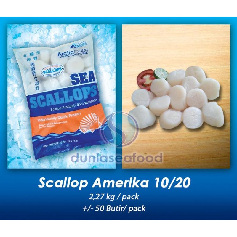 

Scallop Amerika Size 10/20 2,27 kg/pack +/- 50 butir/pack