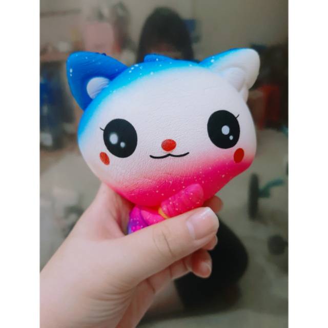 

Squsihy lucu