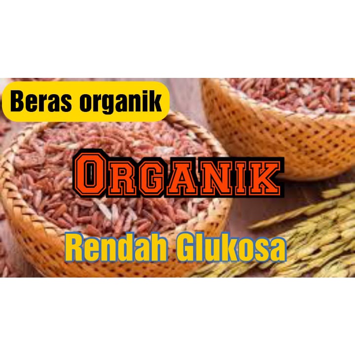 

Beras Merah Organik
