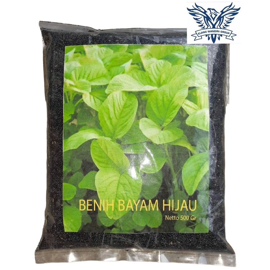 Benih Bayam  bibit bayam Hijau 500 Gram kualitas premium