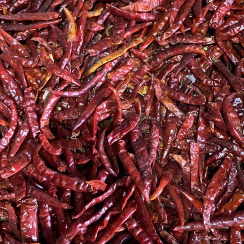

CABE KERING PEDAS CABAI JAPLAK BUMBU DAPUR REMPAH KUALITAS ASLI CAPLAK BU ROS JSR TEJA CAPLAK INDIA