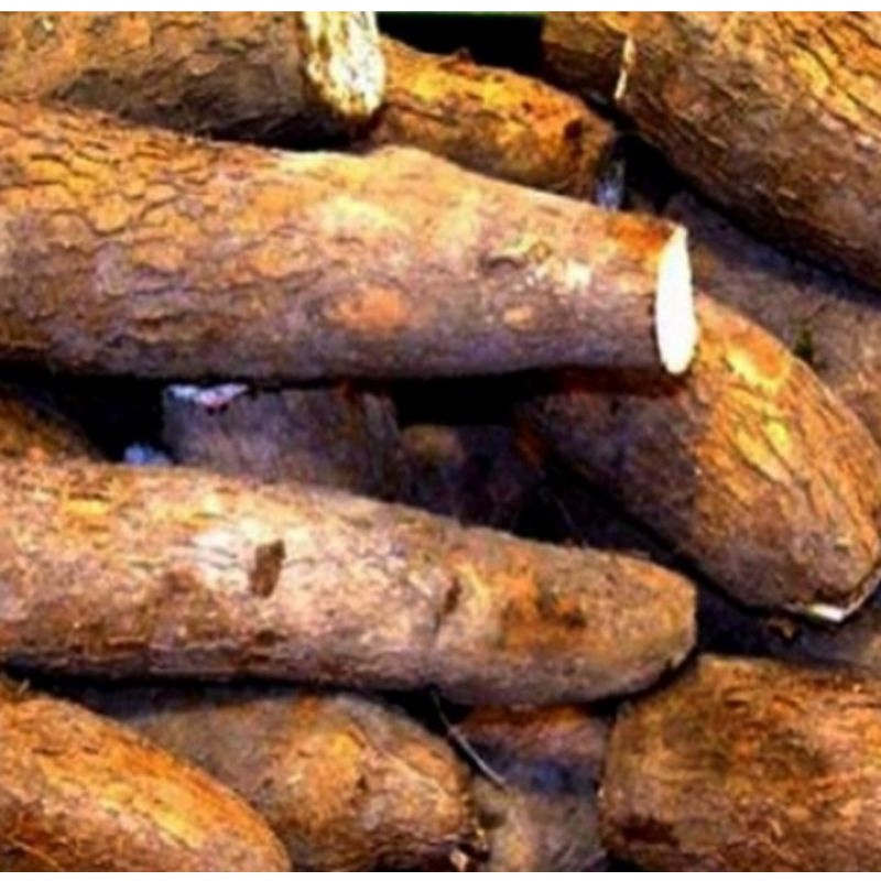 

Umbi Singkong Pullen Super 1kg