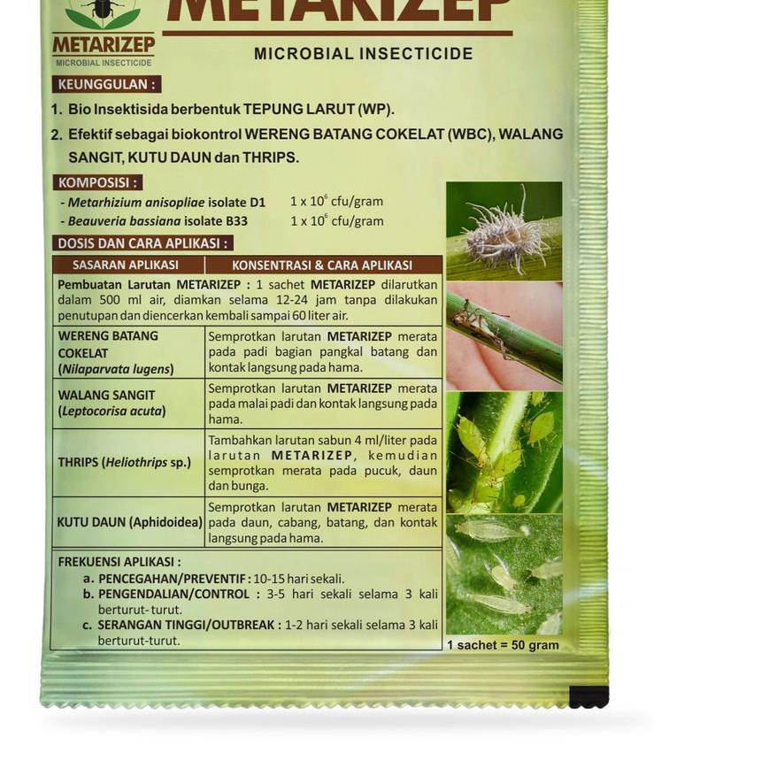 ♝ Metarizep - Bio Insektisida (Metharizium spp & Beuvaria bassiana) ℗