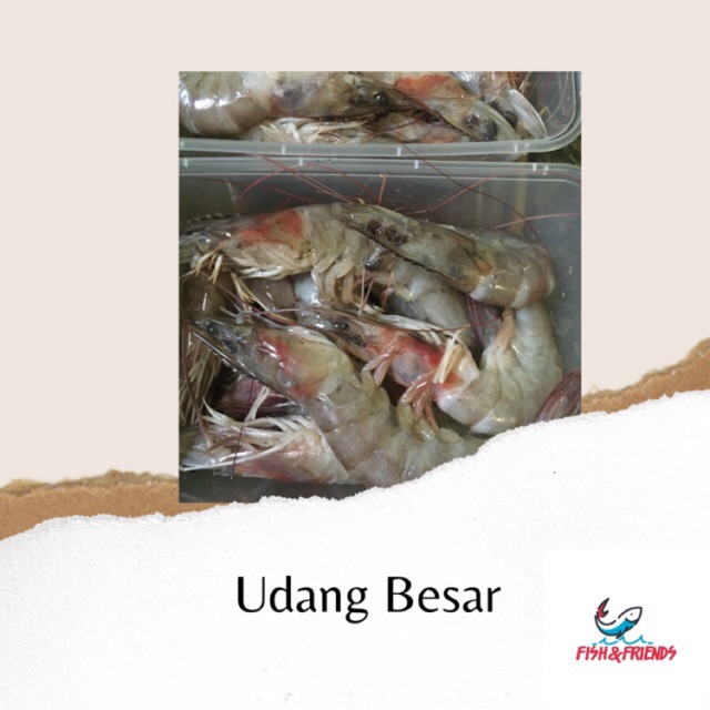 

UDANG BESAR FRESH BERKUALITAS BANDUNG - 1KG