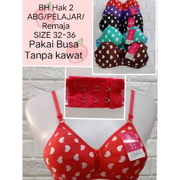 BH Hak 2 676/299 Cup Kecil motif Random BRA ABG /Pelajar /Remaja PAKAI Busa Tanpa Kawat Size 32-38