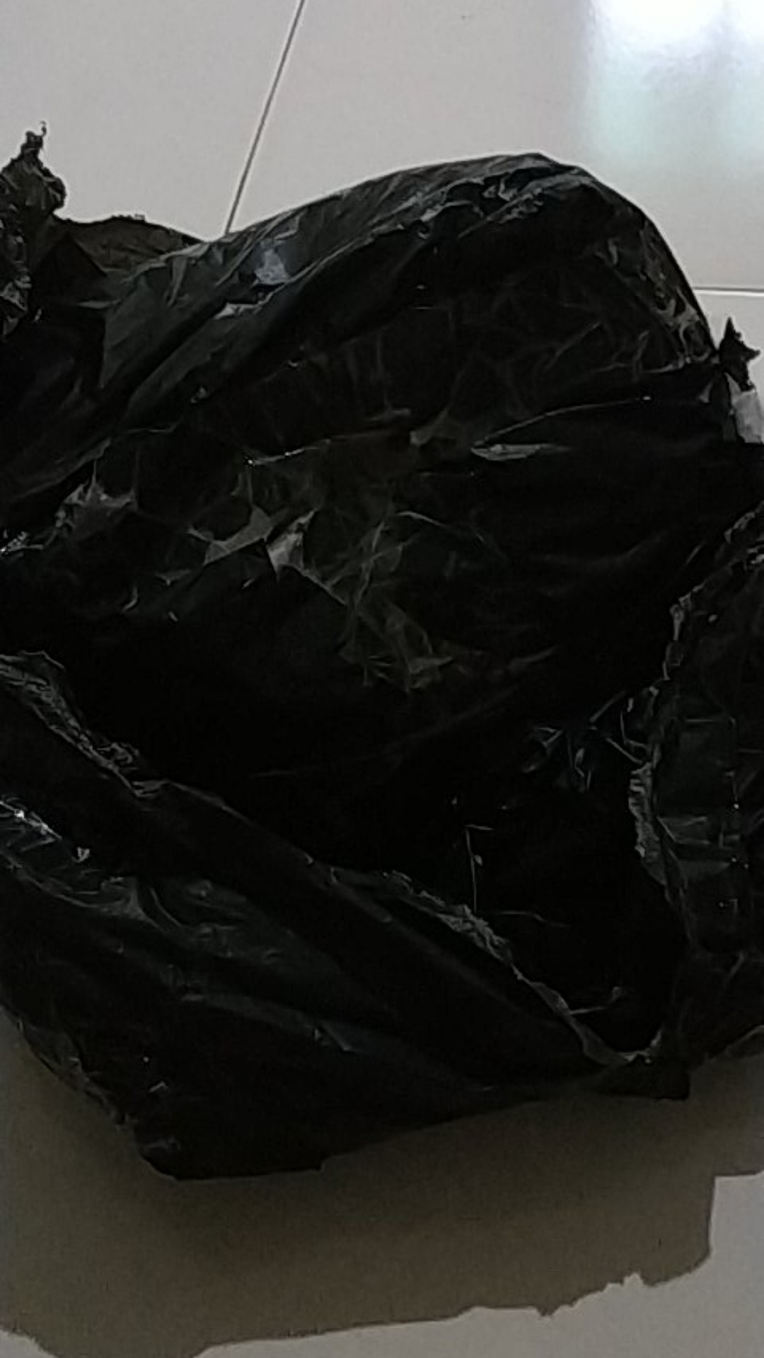 A+ Lite Perlite 2-4 Mm (media Tanam) 1 Kg / 12 Liter