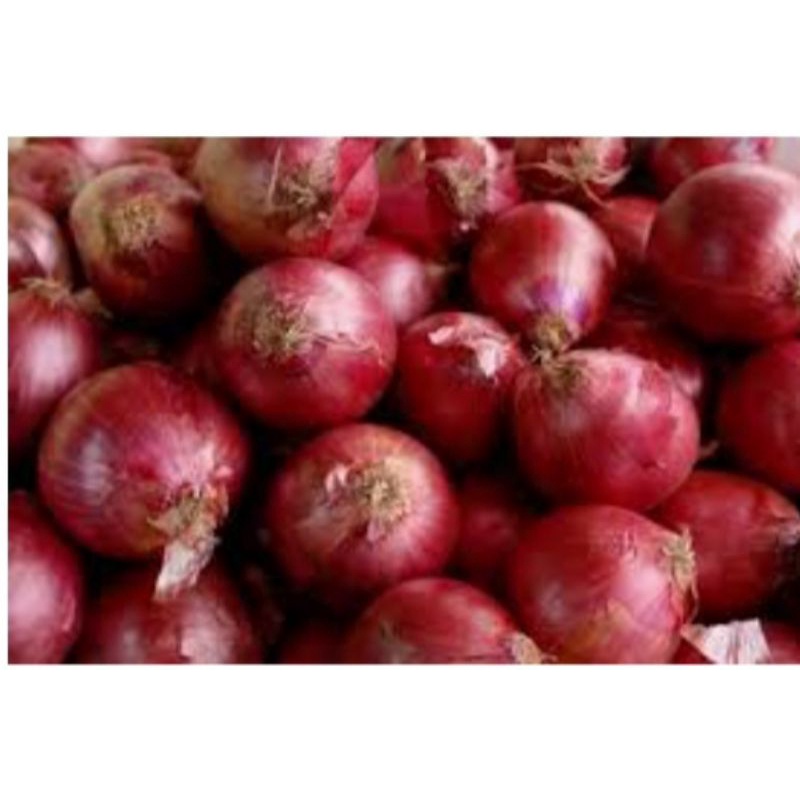 

Bawang merah / bawang merah besar / bawang merah segar / bawang higienis /bawang merah fresh / bawang merah bogor / bawang merah cilengsi