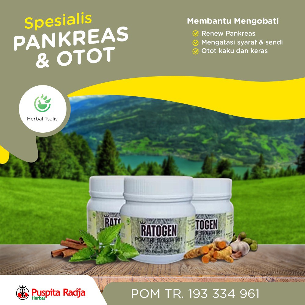 RATOGEN OBAT PANKREAS OTOT RANEW PANKREAS MENGATASI SYARAF SENDI KERAS PUSPITA RADJA HERBAL PRH