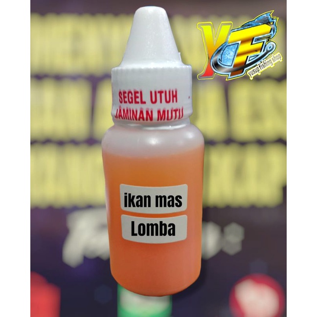essen ikan mas lomba