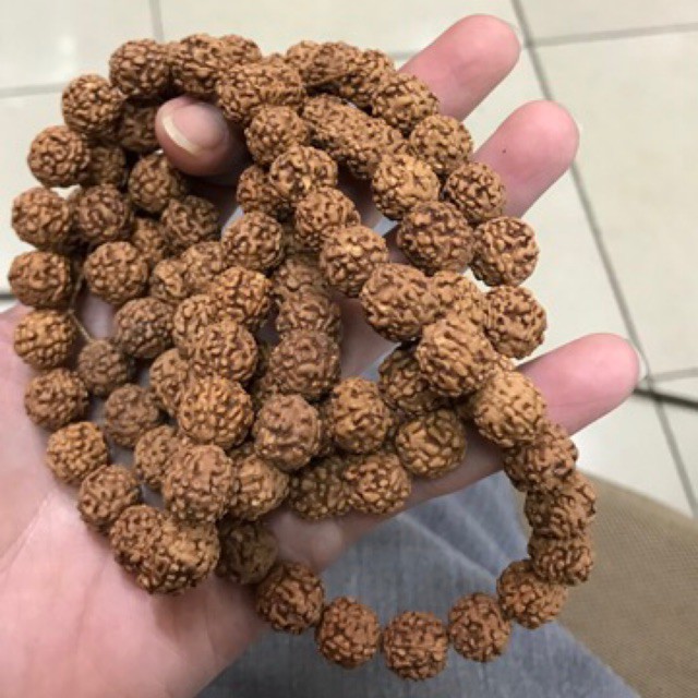 Tasbih Biji Jenitri Genitri Rudraksha ASLI 108 butir size 12 mm