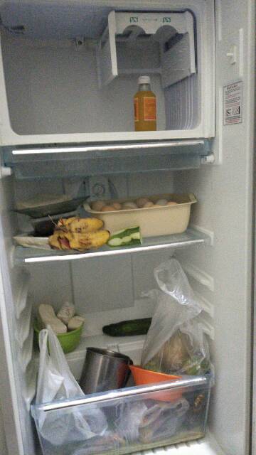 Rak Kulkas Lemari Es Polytron 1 Pintu Custom Shopee Indonesia