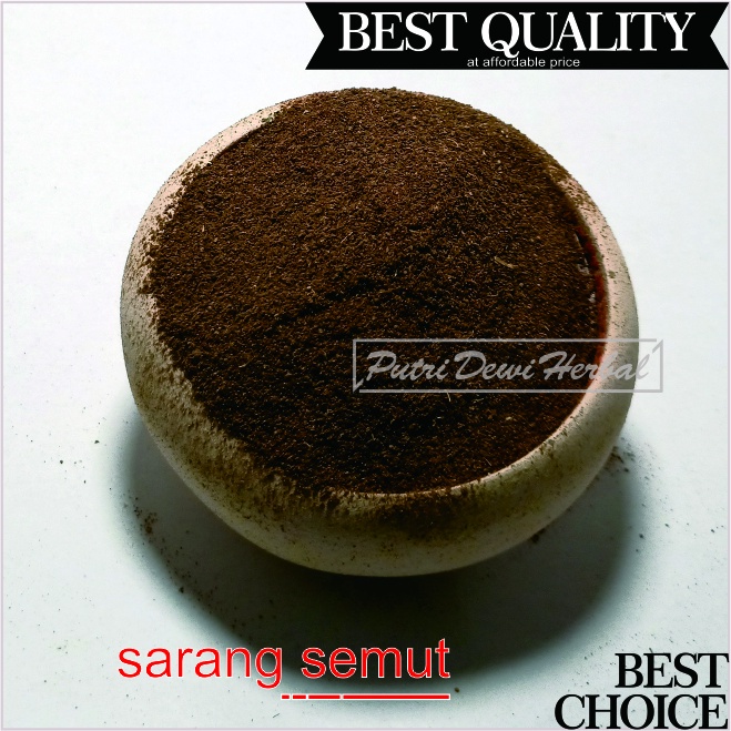 

Sarang Semut Bubuk 250 Gram - Serbuk Urek-urek Polo Nongon | Jack Ant Plant Powder | Myrmecodia tuberosa