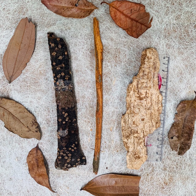 Batang Kayu Kulit Ranting Putih Kayu Kering Kayu Manis Cinnamon Stick Properti Foto Dekorasi Rustik