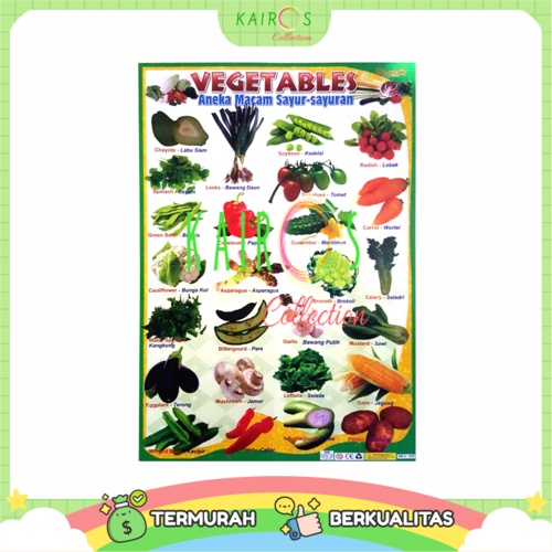 Poster Edukasi Anak Belajar Sayuran Vegetables